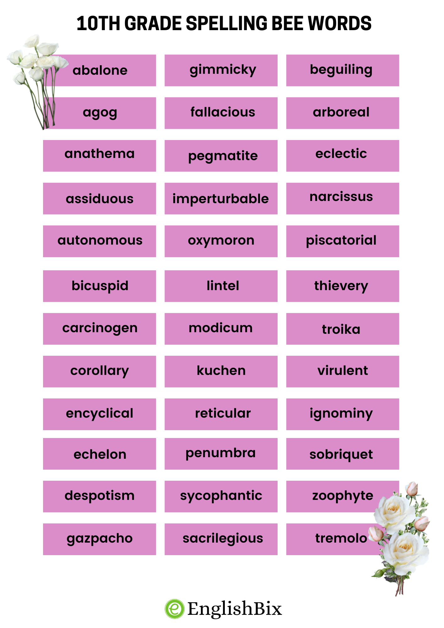 spelling bee word list
