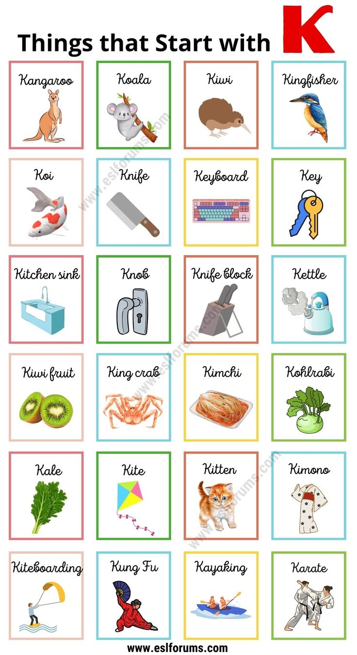 195 Great Things That Start With K In English