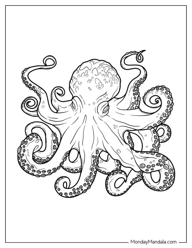 26 Octopus Coloring Pages Free PDF Printables