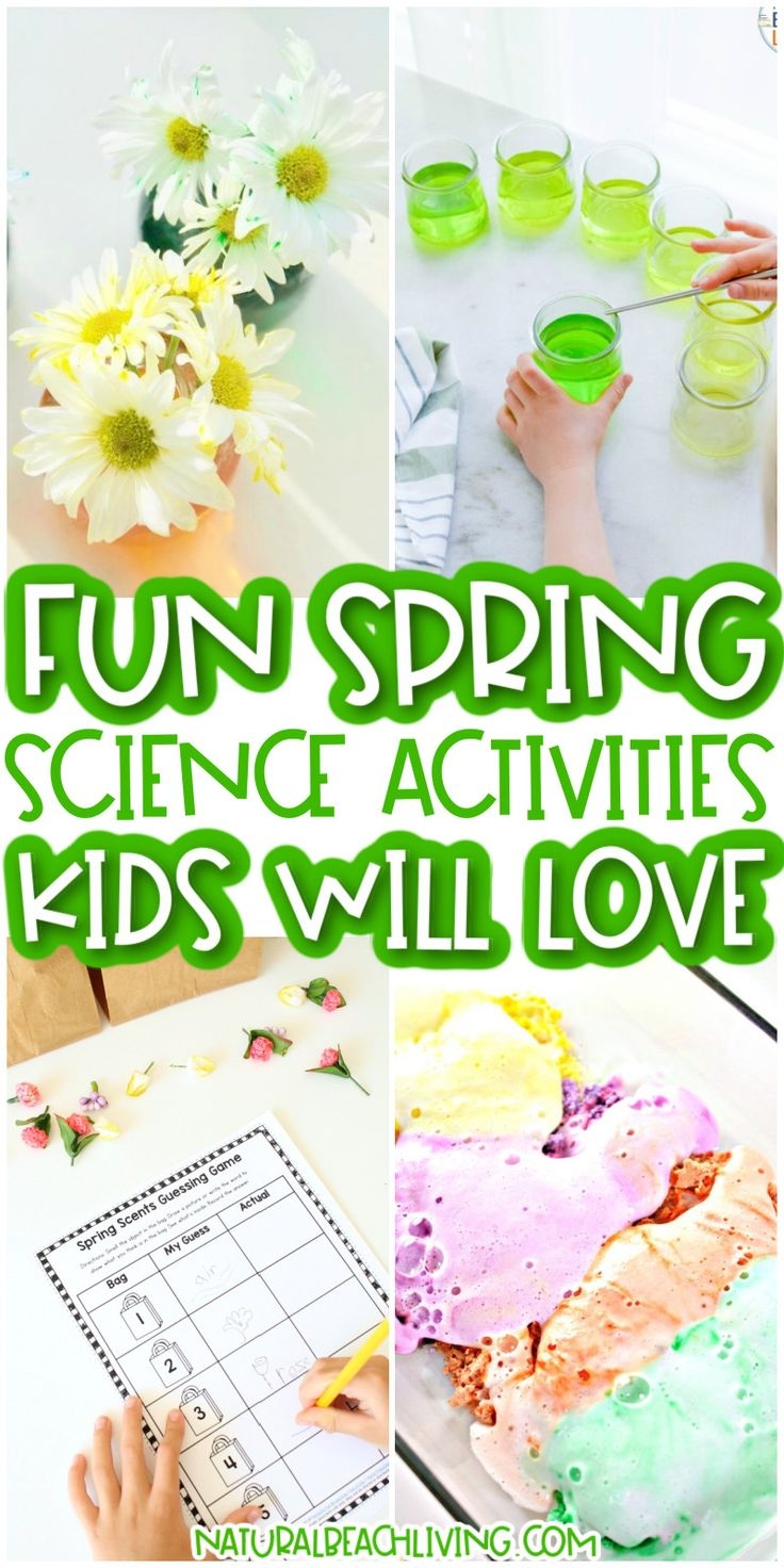 science activities for kindergarten