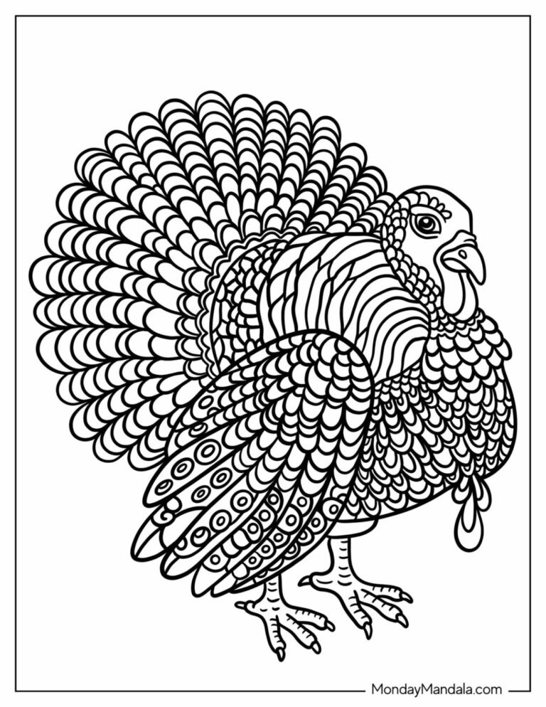 32 Turkey Coloring Pages Free PDF Printables