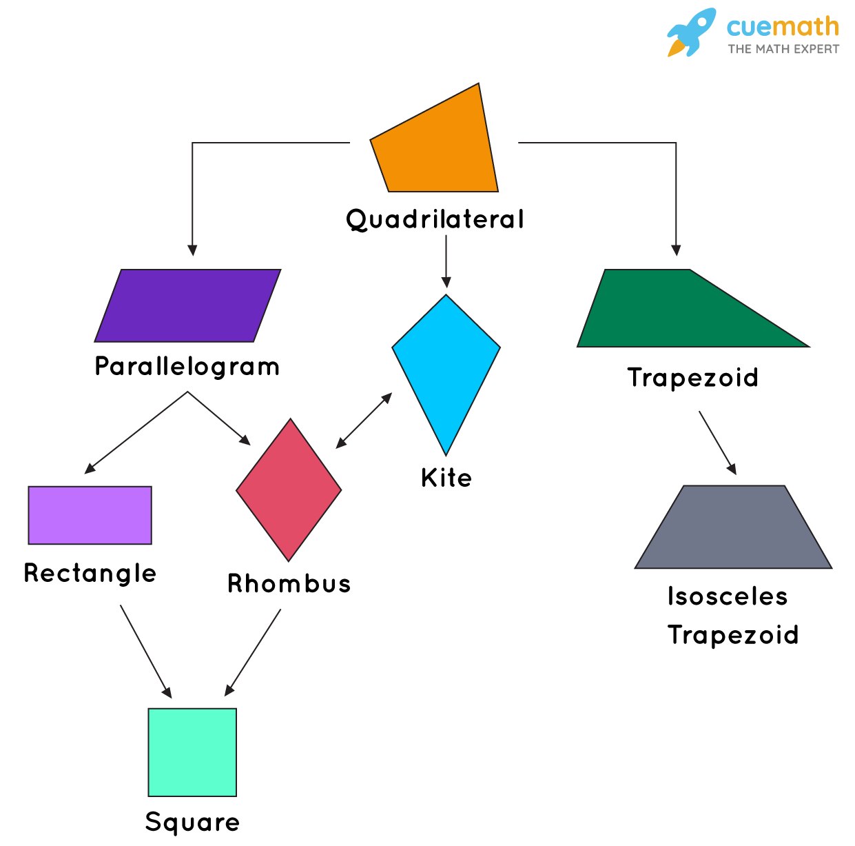A Rectangle Is A Square But A Square Is Not A Rectangle Solved 