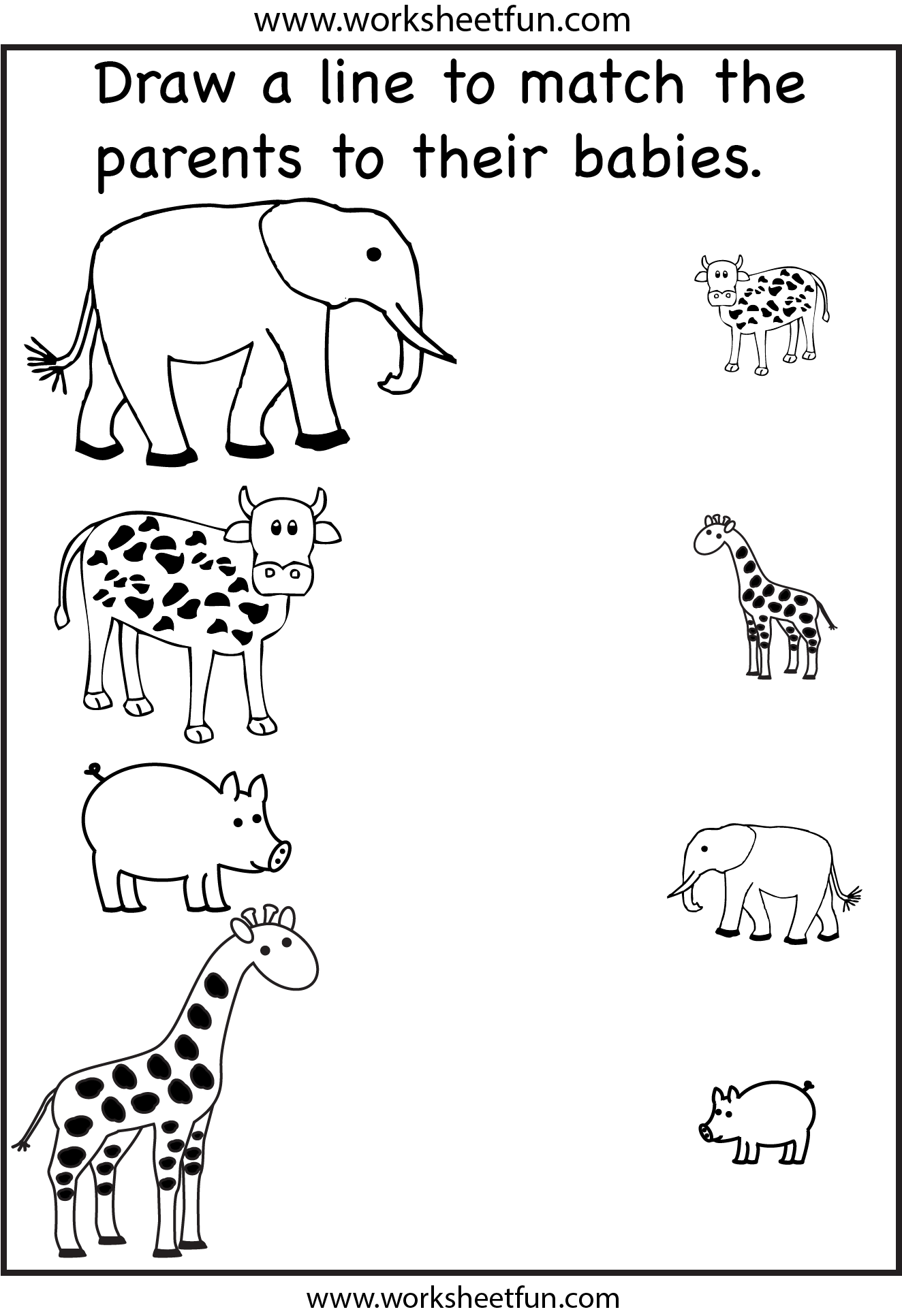 Animal Parents and Babies