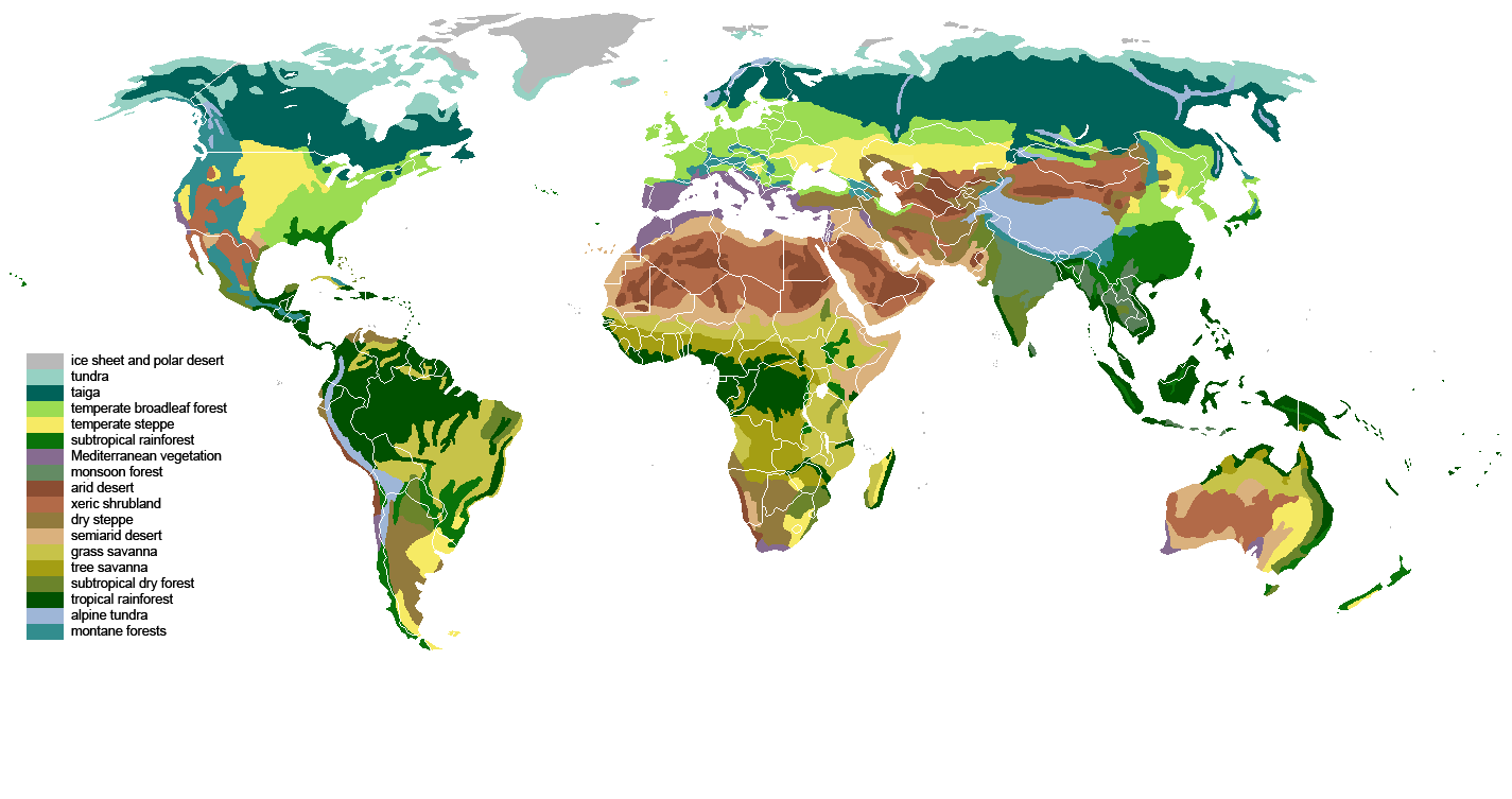 biome map coloring worksheet