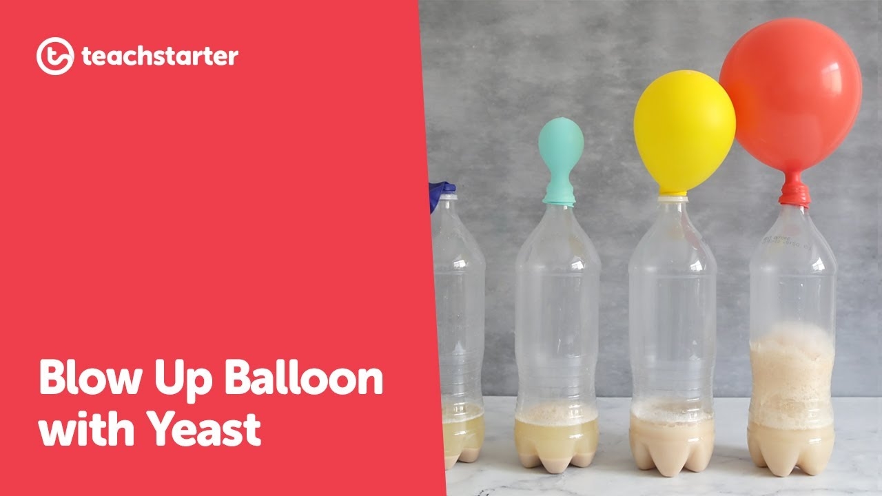 yeast sugar carbon dioxide experiment