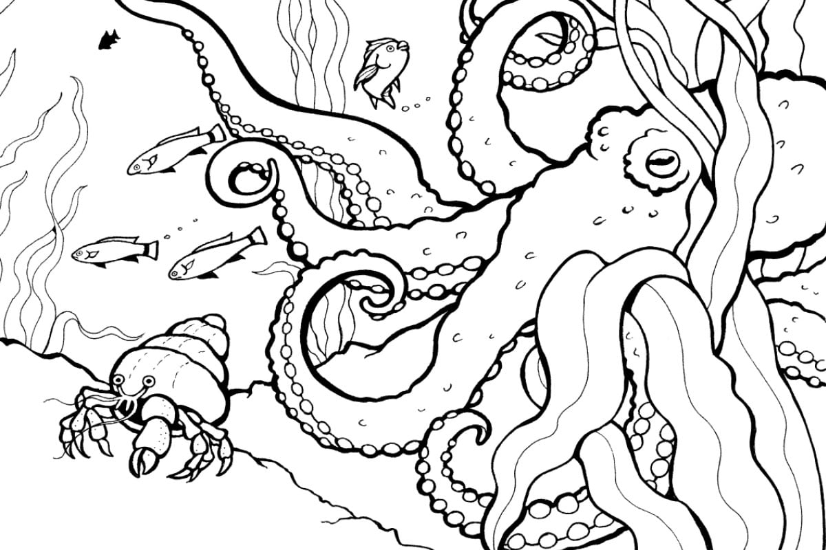 coloring sheets to print off