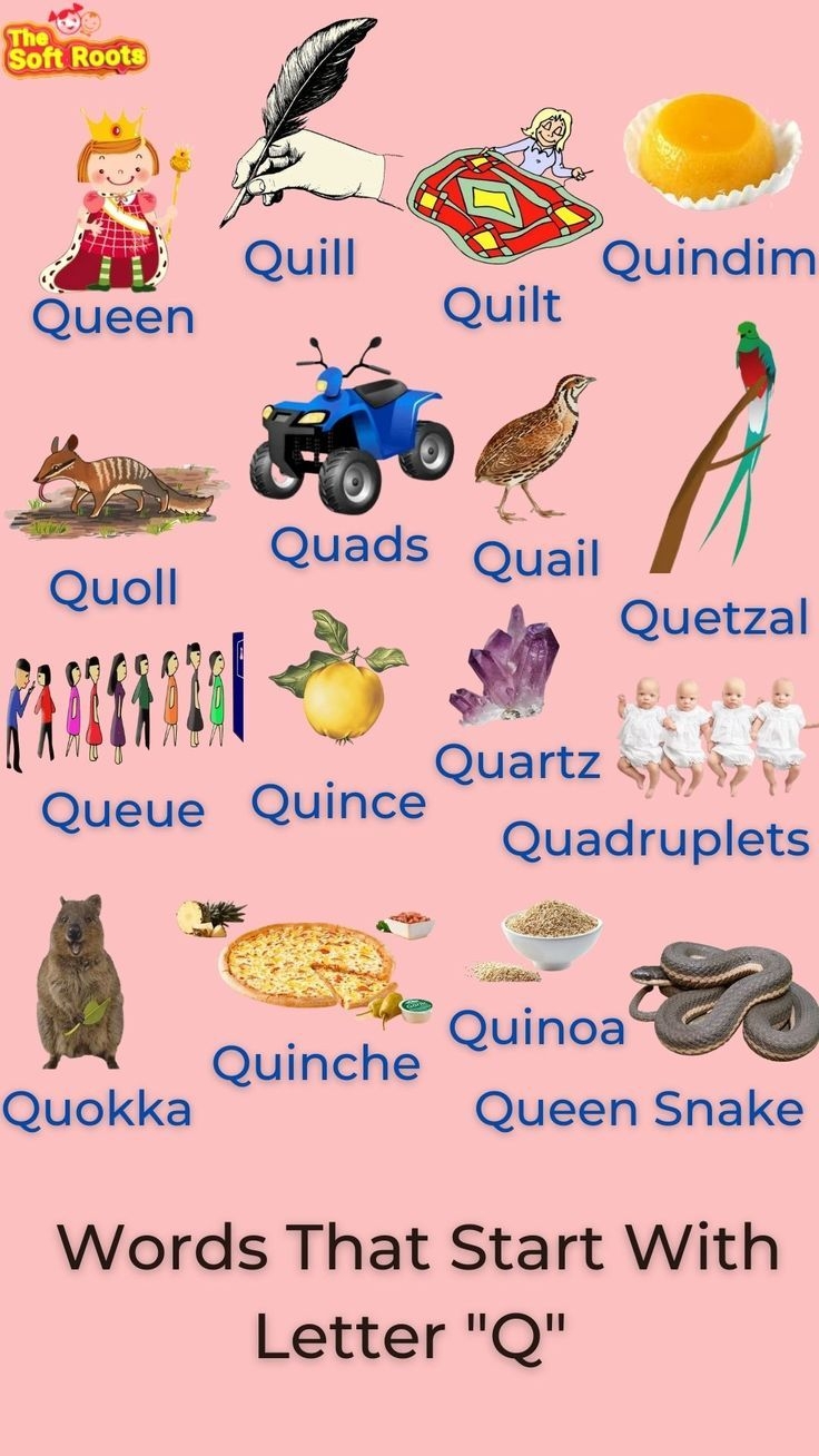 Easy Words That Start With Q 