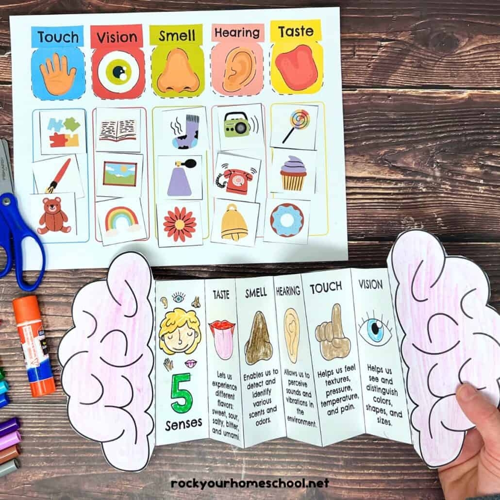 preschool free printable five senses worksheets