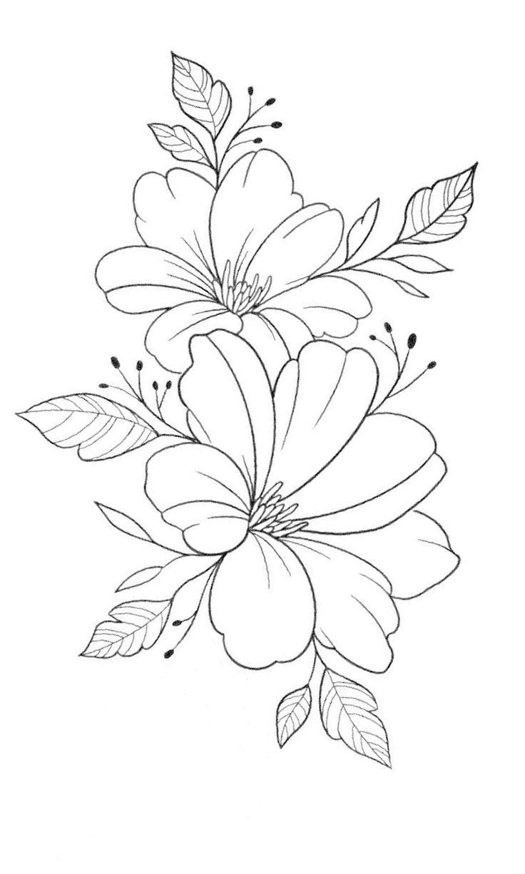 Flower Drawing Outline