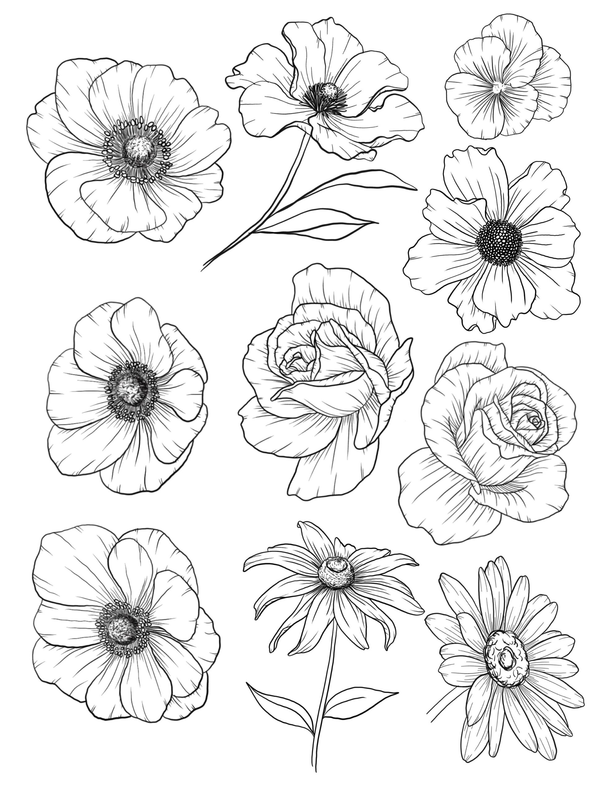 Flower Tracing Guide Learn To Draw Flowers Tracing Project DIGITAL DOWNLOAD How To Draw Flowers Etsy Denmark