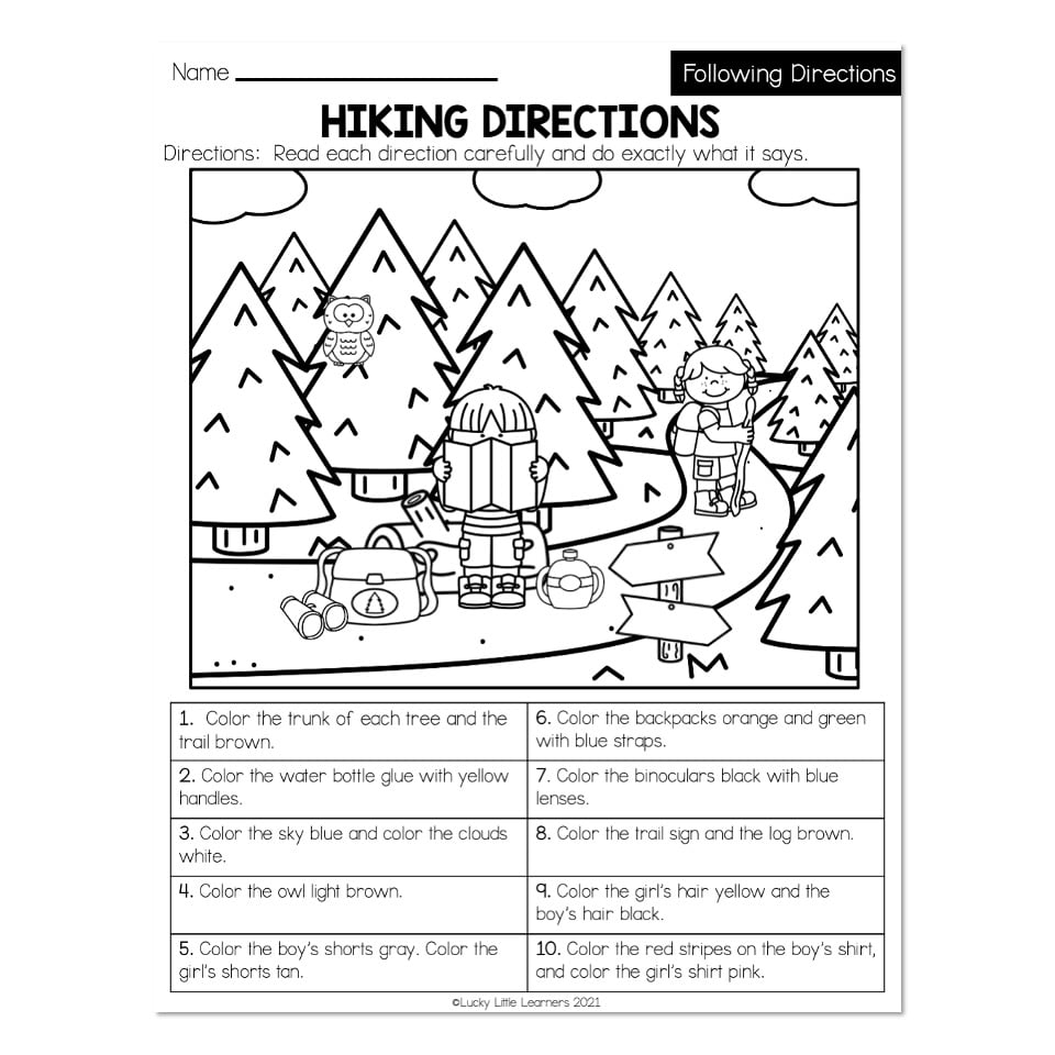 following directions worksheet
