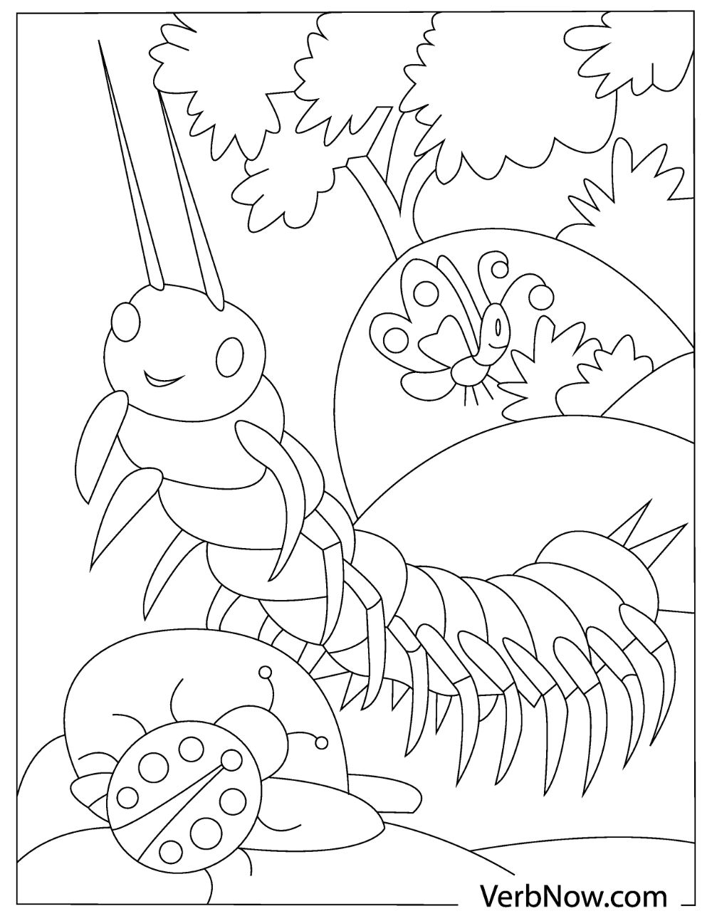 bug pictures to color