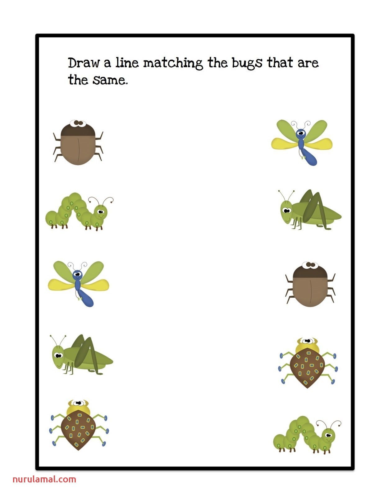 free printable insect worksheets for preschoolers