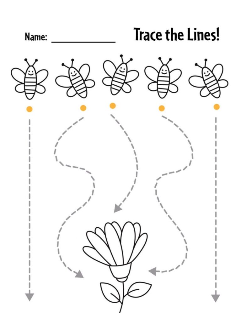 Free Trace The Line Worksheets For Preschool The Hollydog Blog