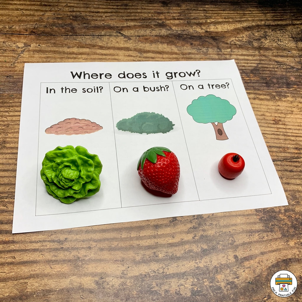 Gardening And Growing Fruits And Vegetables Activity Pack Pre K Printable Fun