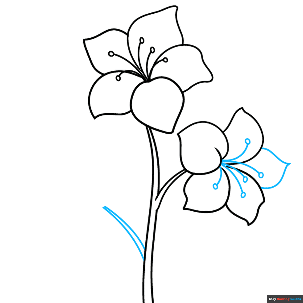 How To Draw An Azalea Really Easy Drawing Tutorial