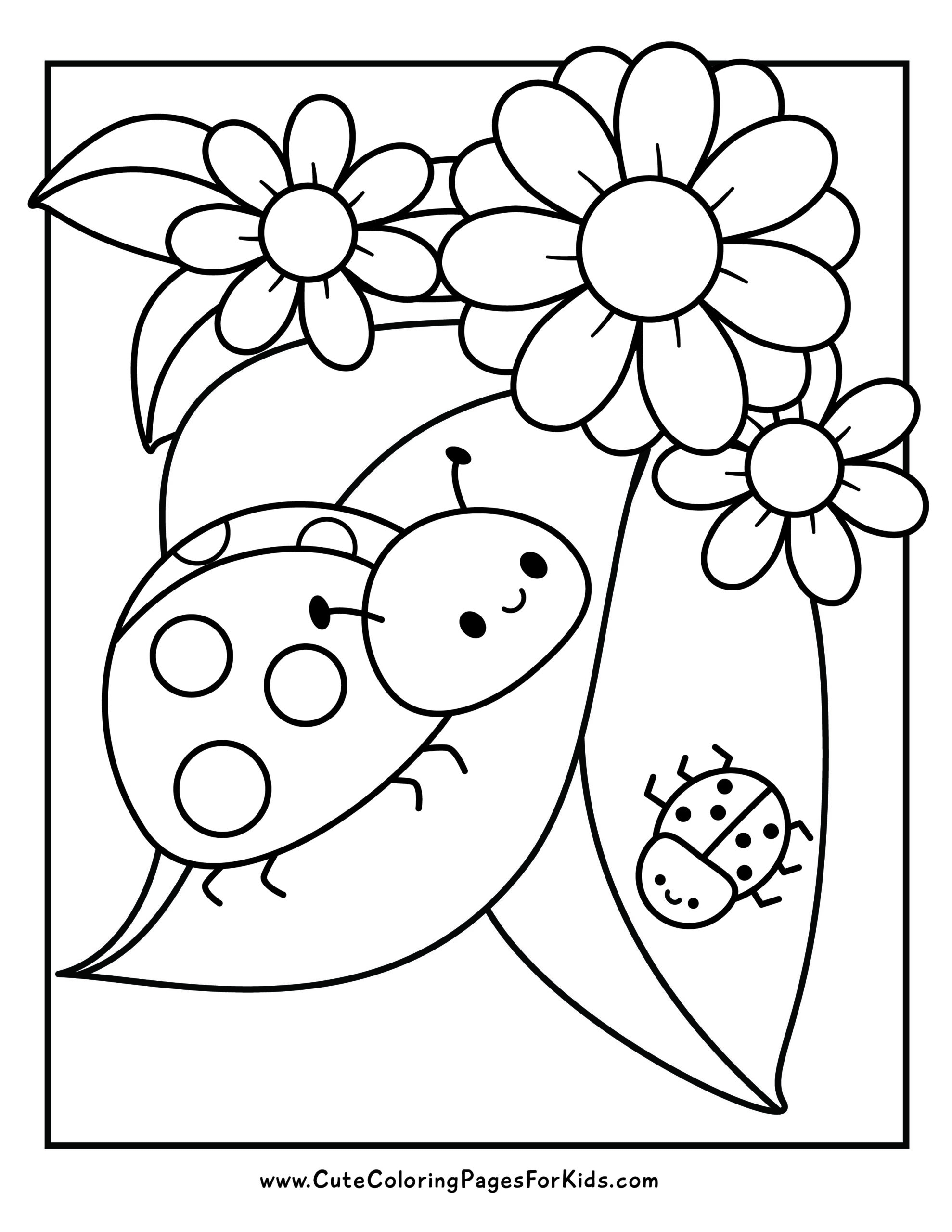 colouring pages insects