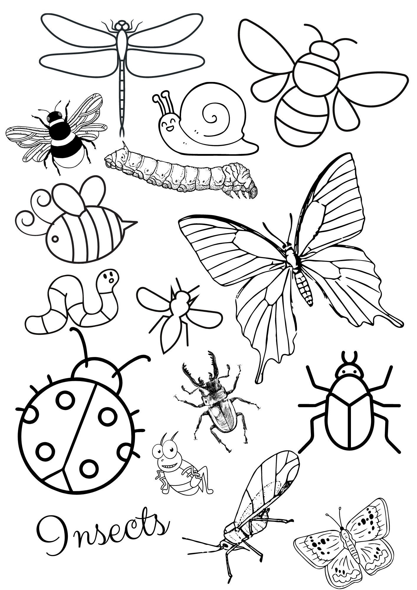 Insects Colouring Page Etsy