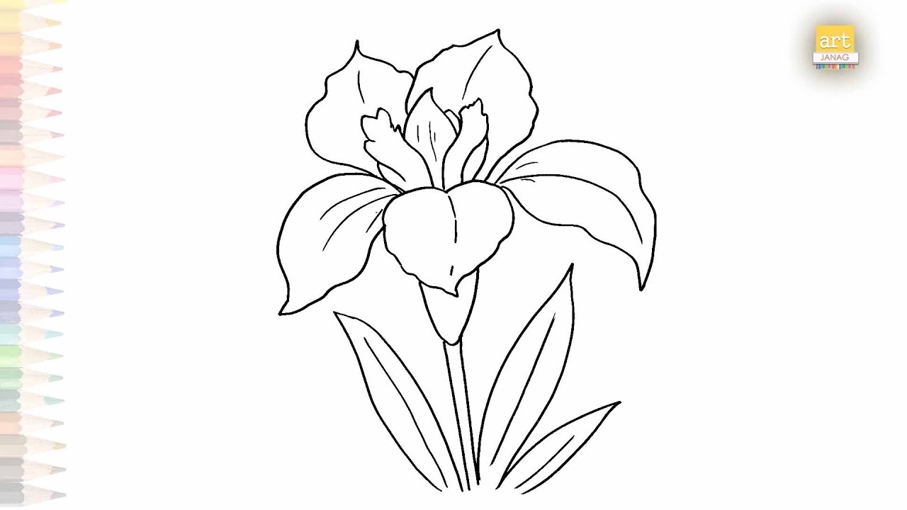 flower drawings to trace
