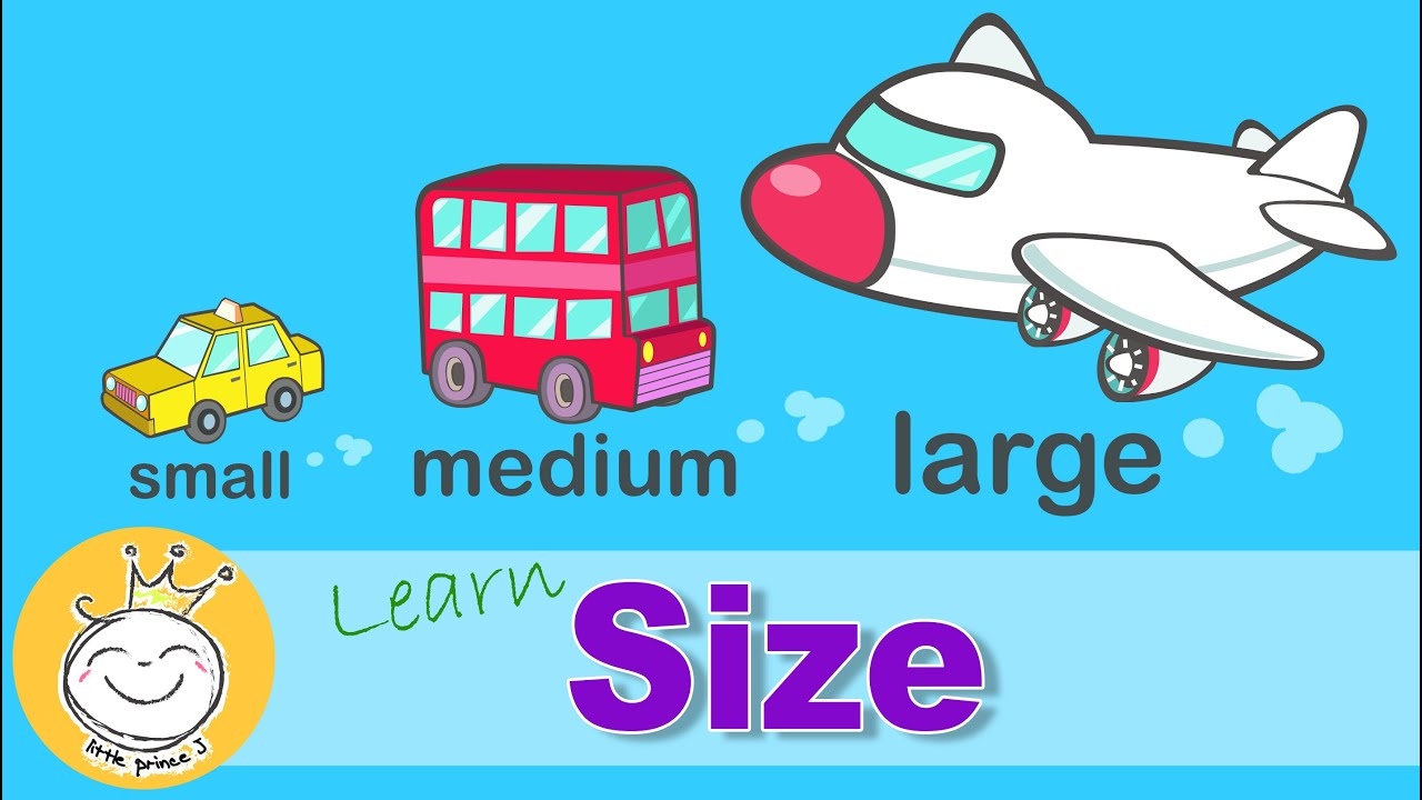 Learn Sizes Small Medium Large Size Comparison For Kids YouTube