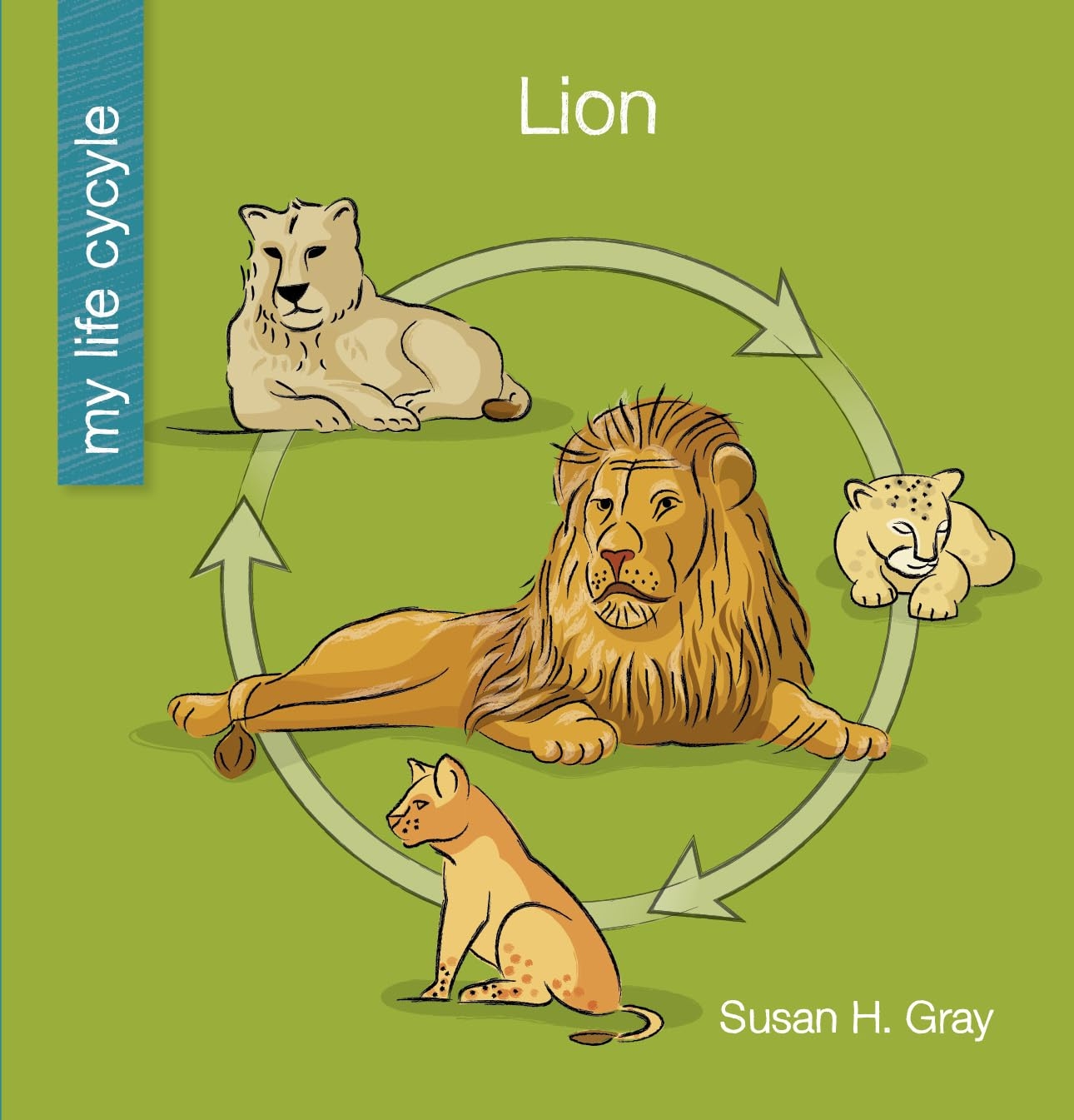 Lion My Early Library My Life Cycle Gray Susan H Bane Jeff 9781534181779 Amazon Books