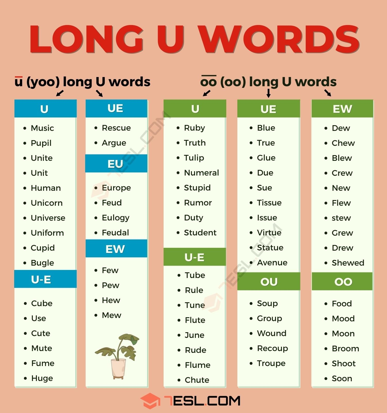 long vowel u words