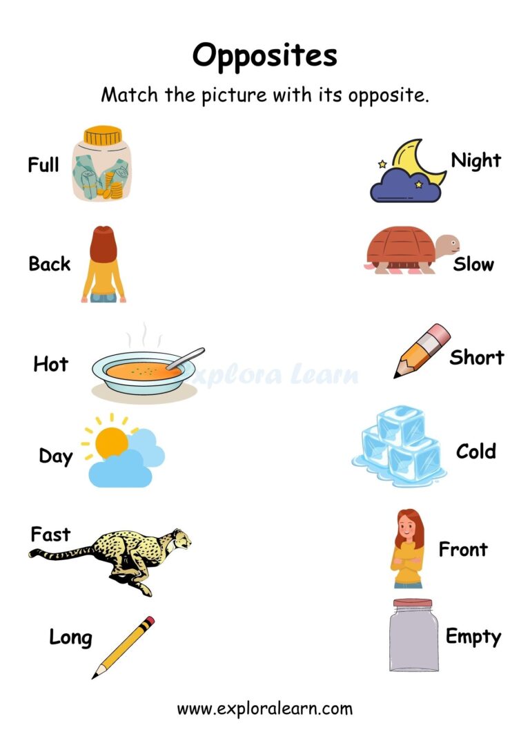 Opposites Comparison Worksheets For Preschool And Kindergarten 2 To 6 Years Kids