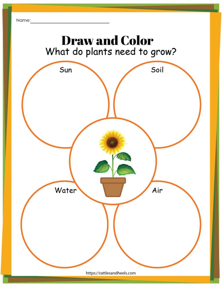 Plant Life Cycle Worksheets Free Printables For Kids