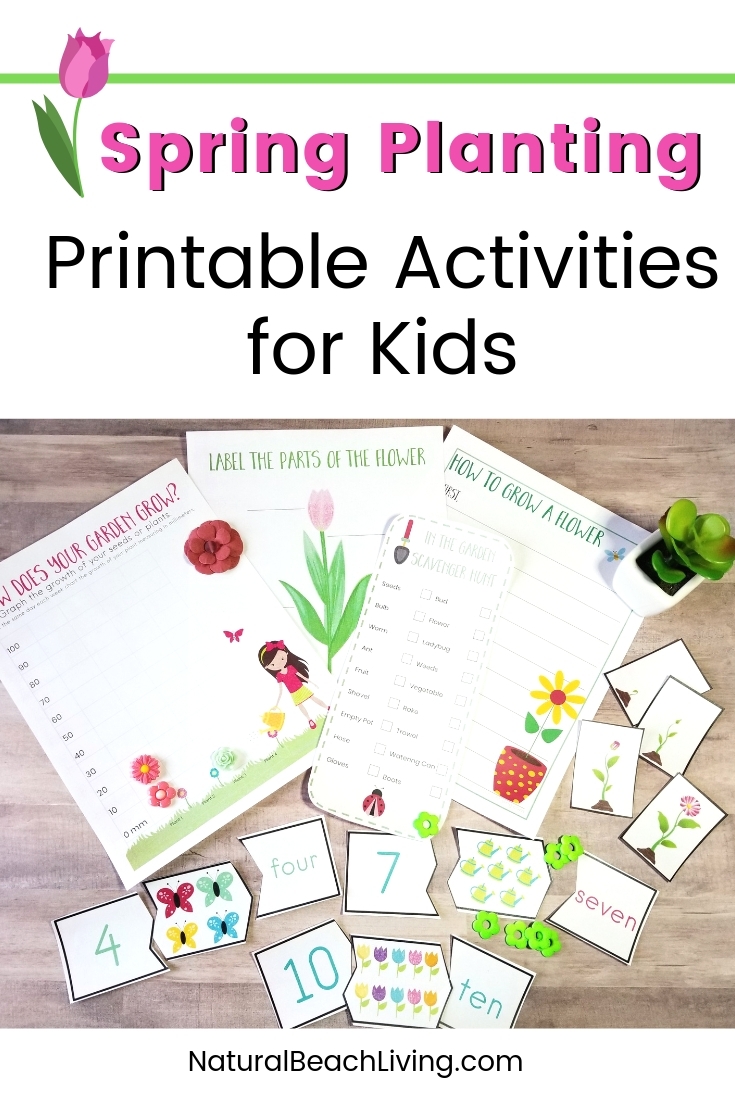preschool gardening worksheets printable