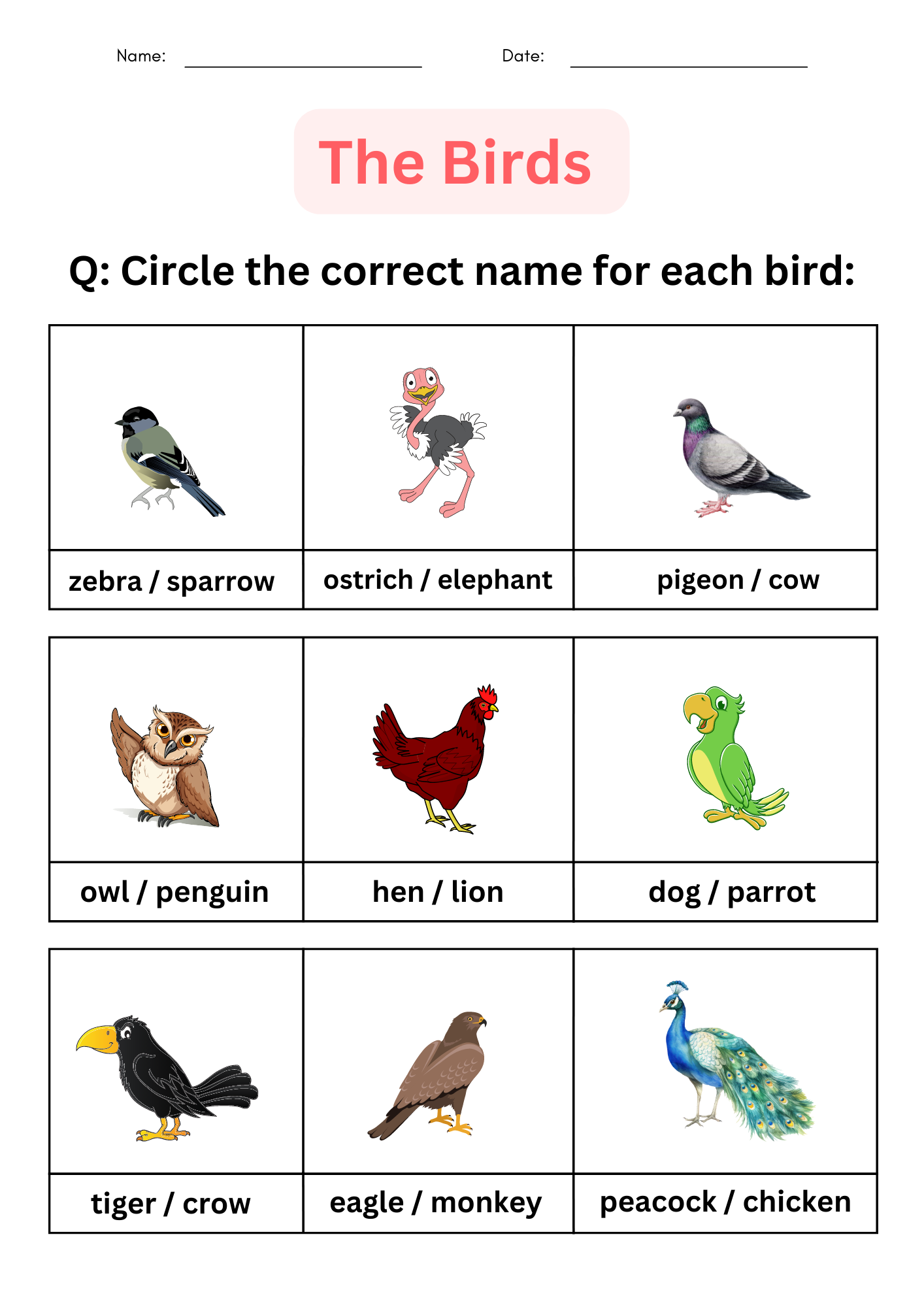free printable bird worksheets for preschoolers