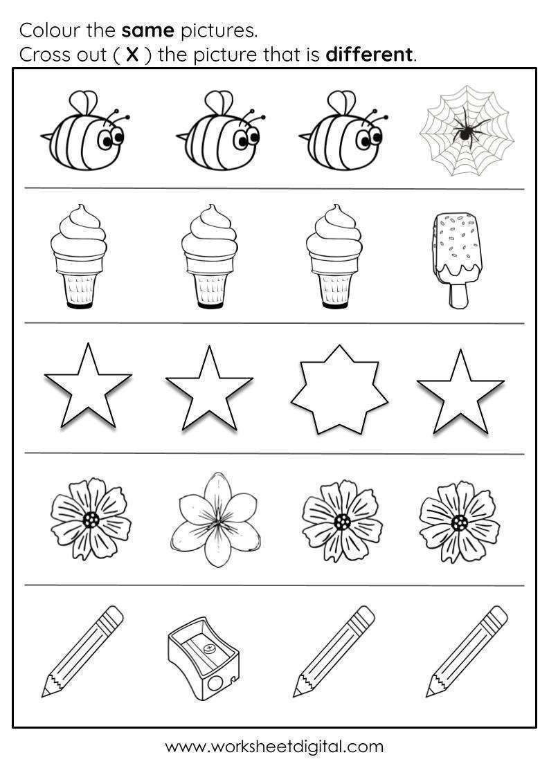 Printable Same And Different Worksheets For Kindergarten Worksheets Library