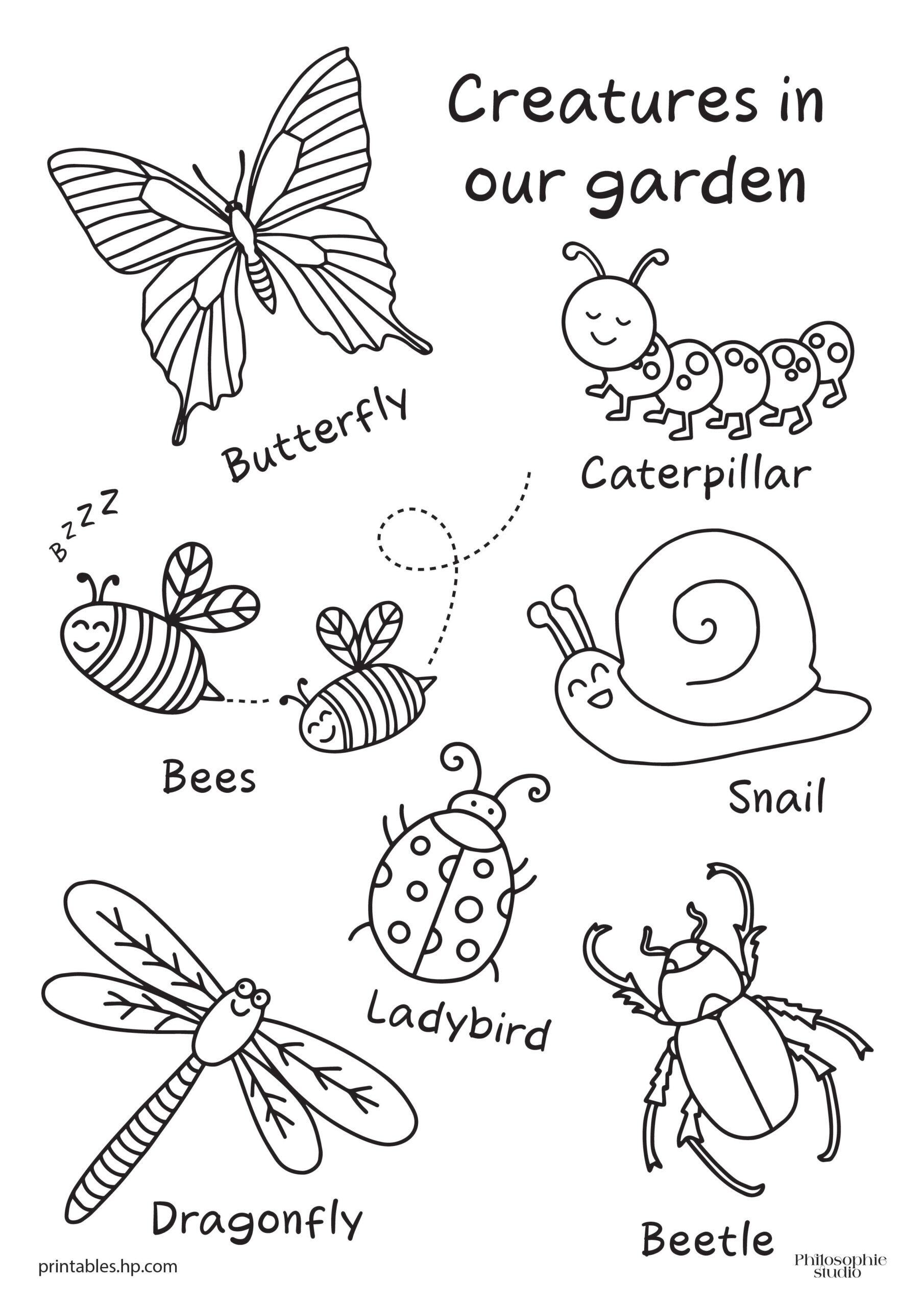 coloring sheets of insects