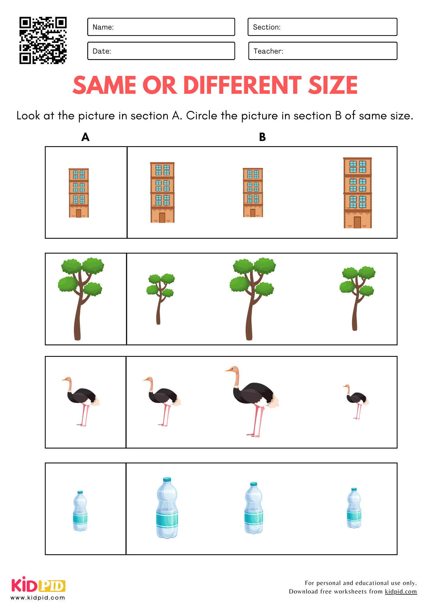 Size Comparison Worksheets