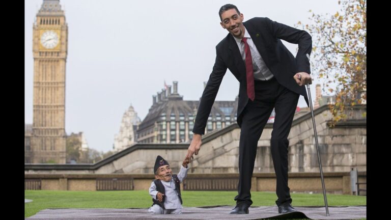 Shortest And Tallest People In The World