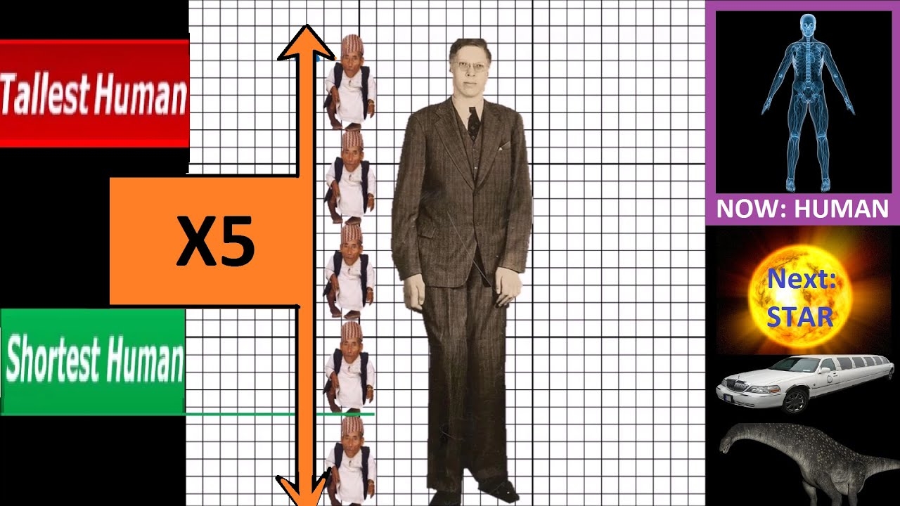 Size Comparison Smallest VS Largest YouTube