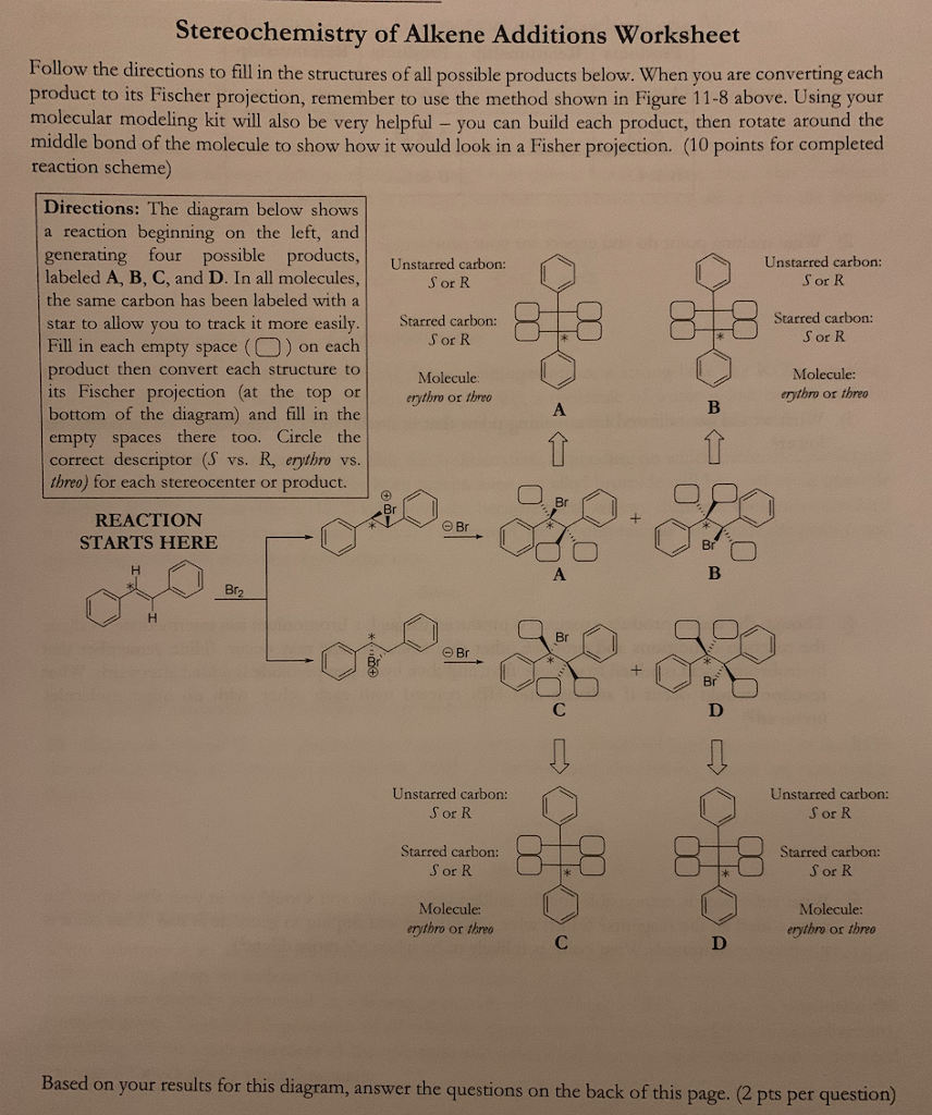 Solved Stereochemistry Of Alkene Additions Worksheet Follow Chegg