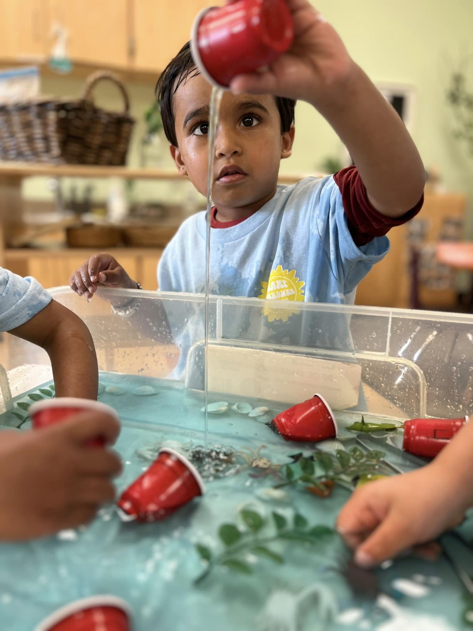 science activities for preschoolers