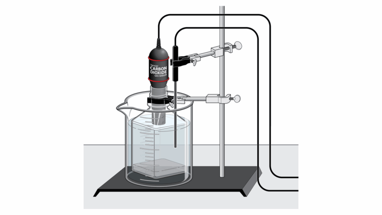 Sugar Metabolism With Yeast Carbon Dioxide Gas Experiment 10A From Investigating Biology Through Inquiry