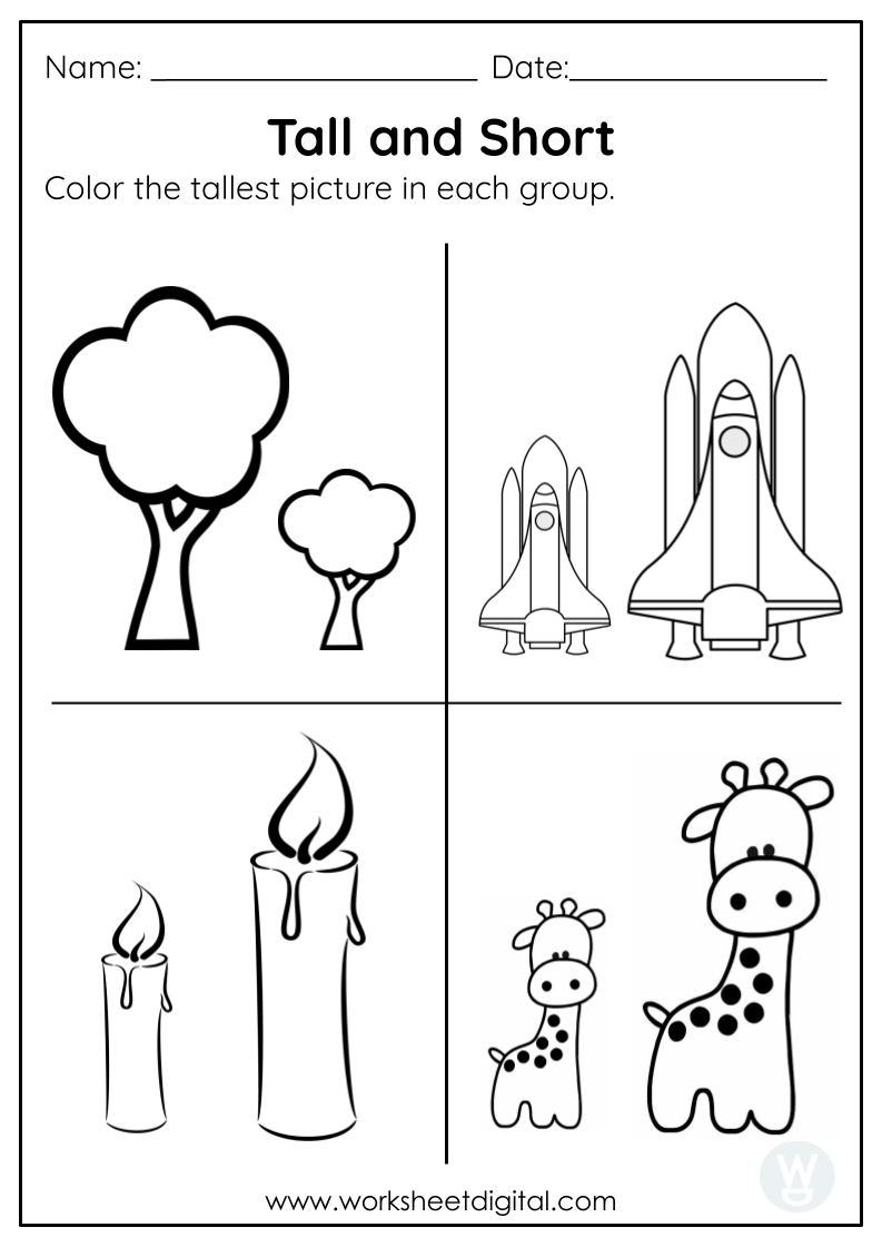 Tall And Short Worksheet Digital Worksheets Library
