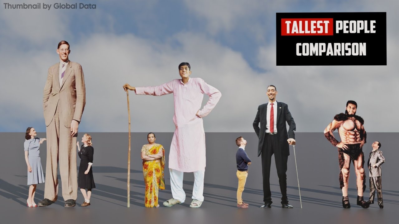 Size Shortest and Tallest