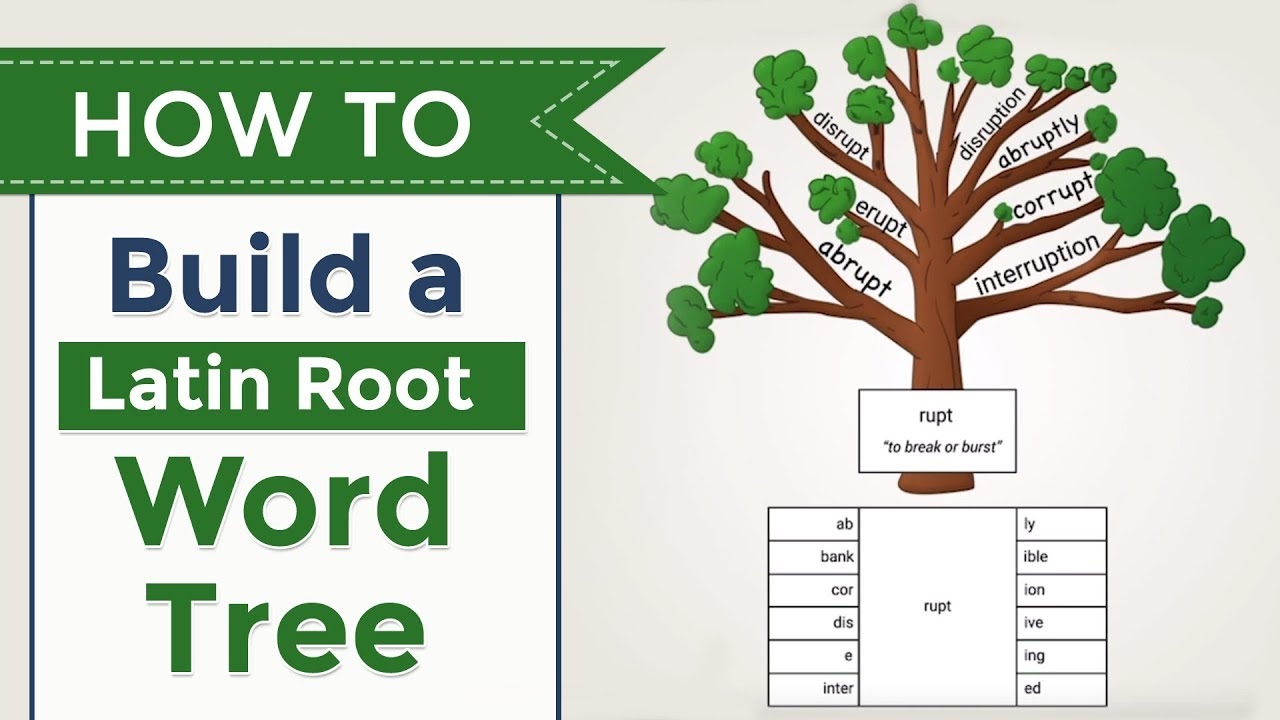 Teach Latin Roots With Word Trees Free Download And Video 