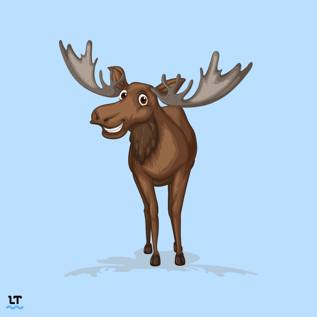 what is the plural of moose