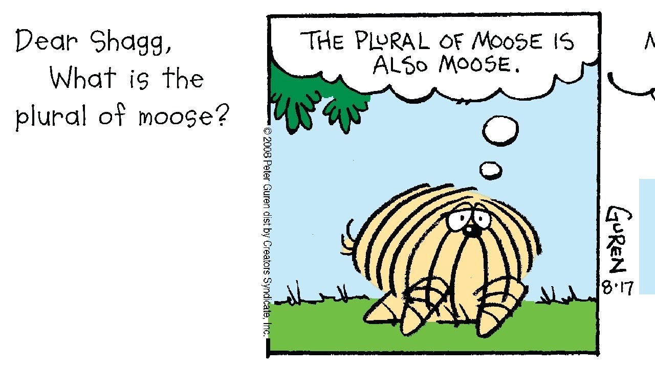 What Is The Plural Of Moose YouTube
