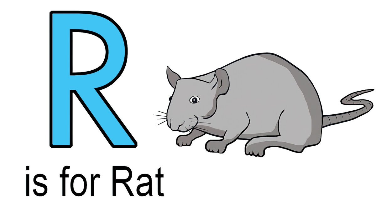 kindergarten words that start with r