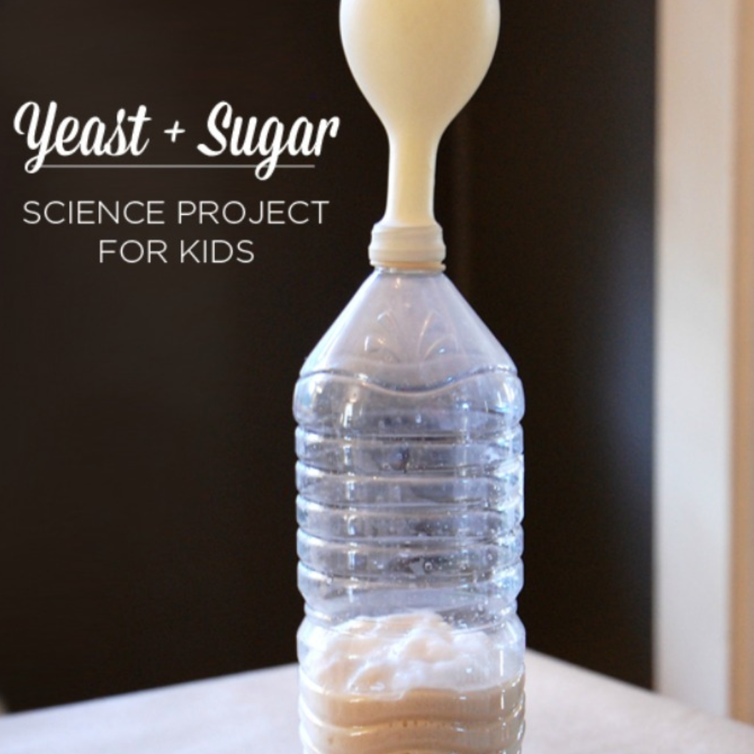 yeast sugar carbon dioxide experiment