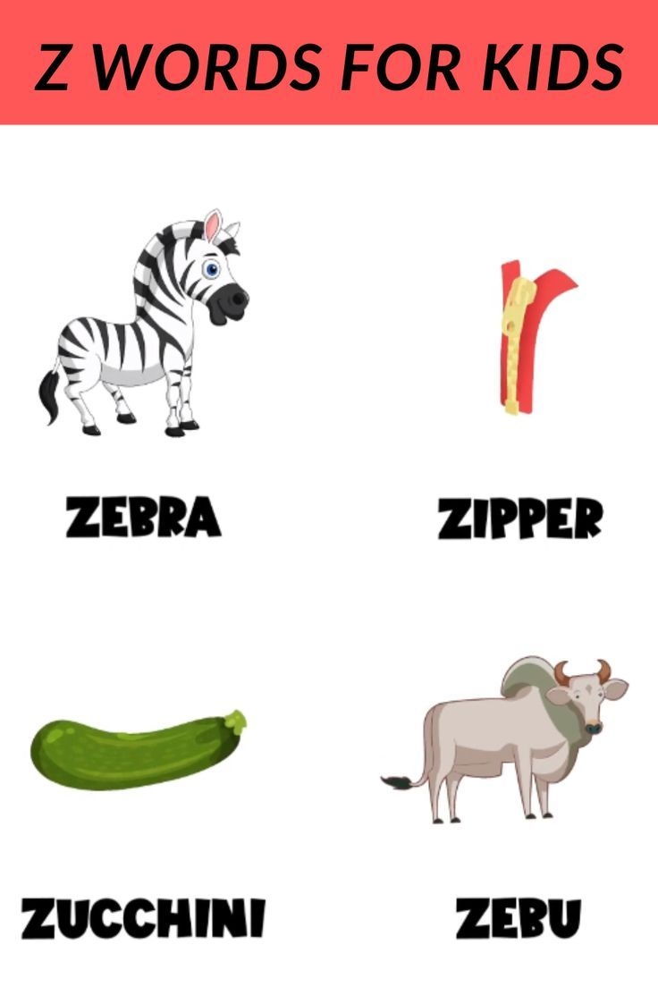 Z Words Z Words For Kids Words From Z Words That Start With Z