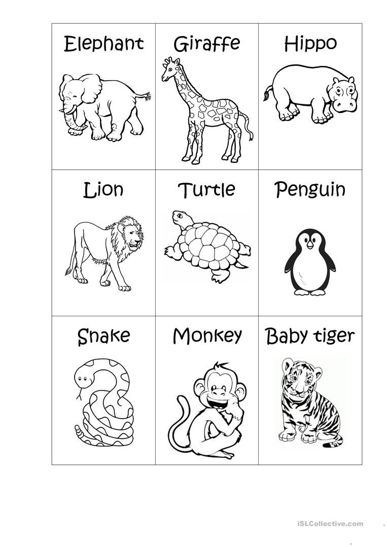 printable zoo worksheets for preschool