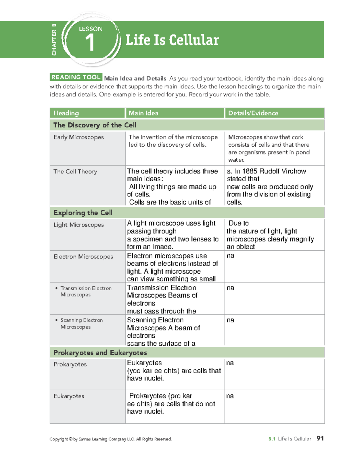 BIO CH08 Lesson Notes The Cell And Its Structure Studocu