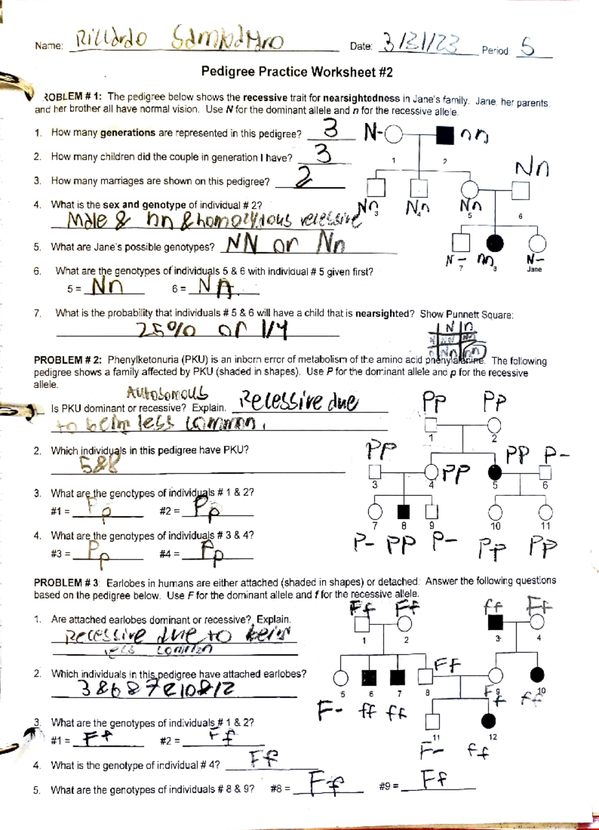 BIO Ch8 L2 L3 Cell Structure And Function Overview Studocu