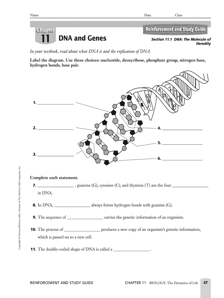 Chapter 11 Dna And Genes Worksheet Answer Key Fill Online Worksheets Library